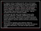 Atmintis ir viskas apie ją 16 puslapis