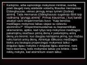 Atmintis ir viskas apie ją 18 puslapis