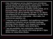 Atmintis ir viskas apie ją 19 puslapis