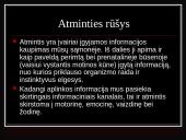 Atmintis ir viskas apie ją 6 puslapis