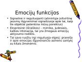 Atmintis žmogaus smegenyse 14 puslapis