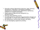 Atmintis žmogaus smegenyse 16 puslapis