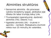 Atmintis žmogaus smegenyse 3 puslapis