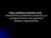 Auklėjimo klaidos šeimoje 2 puslapis