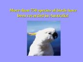 Welcome to Australia 11 puslapis