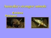 Welcome to Australia 12 puslapis