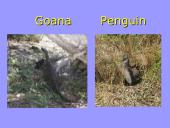 Welcome to Australia 10 puslapis