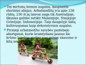 Australiškasis arbatmedis 2 puslapis