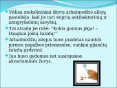 Australiškasis arbatmedis 4 puslapis