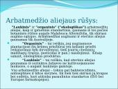 Australiškasis arbatmedis 6 puslapis