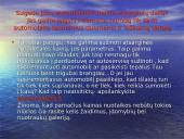 Automobilizmas internete 13 puslapis