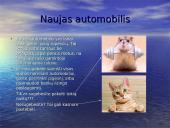 Automobilizmas internete 16 puslapis