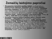 Baltų gentys Lietuvoje 12 puslapis