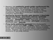 Baltų gentys Lietuvoje 6 puslapis