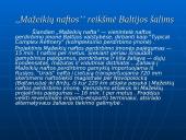 Baltijos šalys: Lietuva, Latvija ir Estija 8 puslapis