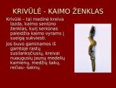 Bendruomeninė gyvensena. Sueigos 17 puslapis