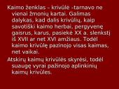 Bendruomeninė gyvensena. Sueigos 19 puslapis