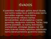Bendruomeninė gyvensena. Sueigos 20 puslapis