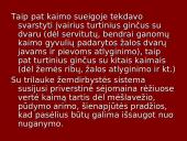 Bendruomeninė gyvensena. Sueigos 10 puslapis