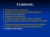 Bevielio interneto technologijos raida 2 puslapis