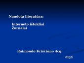 Bevielio interneto technologijos raida 11 puslapis