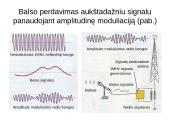 Bevielis ryšys 6 puslapis