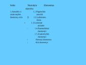 Bibliografinis aprašas 18 puslapis