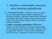 Bibliografinis aprašas 19 puslapis