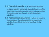 Bibliografinis aprašas 20 puslapis