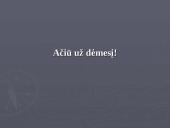 Biografinis tyrimo metodas 13 puslapis