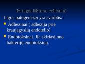 Borrelia burgdorferi 12 puslapis