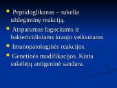 Borrelia burgdorferi 13 puslapis