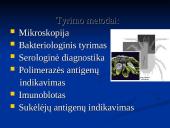 Borrelia burgdorferi 17 puslapis