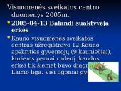 Borrelia burgdorferi 3 puslapis