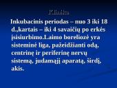 Borrelia burgdorferi 5 puslapis