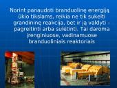 Branduolinis reaktorius 2 puslapis