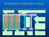 Branduolinis reaktorius 5 puslapis