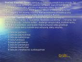 Budizmo religija ir buda 7 puslapis