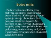 Budizmo tiesos 15 puslapis