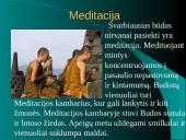 Budizmo tiesos 8 puslapis