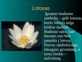 Budizmo tiesos 9 puslapis