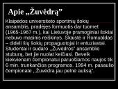 Buitinis ir pramoginis šokis 20 puslapis
