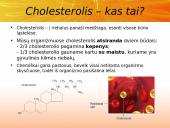 Cholesterolis. Aterosklerozė. Išeminė širdies liga 2 puslapis