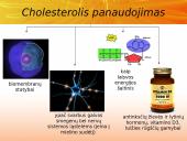 Cholesterolis. Aterosklerozė. Išeminė širdies liga 4 puslapis