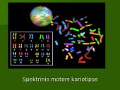 Chromosoma 11 puslapis