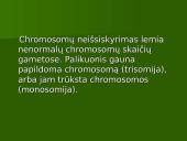 Chromosoma 14 puslapis