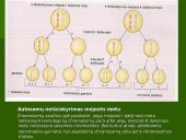 Chromosoma 15 puslapis