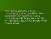 Chromosoma 16 puslapis