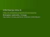 Chromosoma 20 puslapis