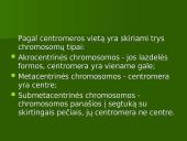 Chromosoma 5 puslapis